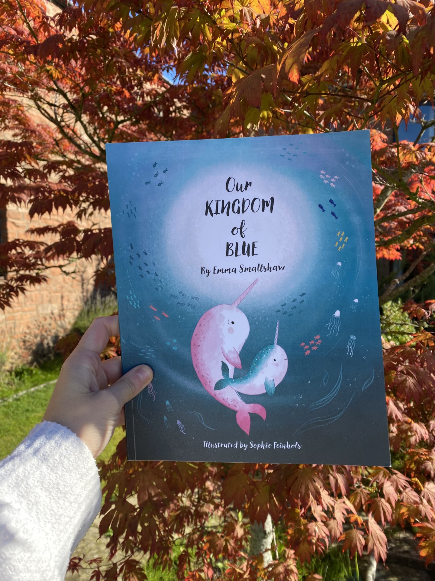 Our Kingdom of Blue - Image 3